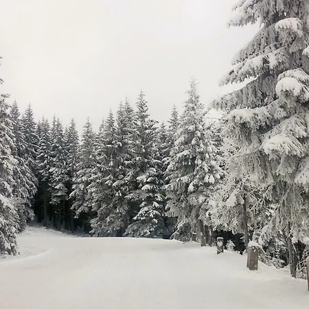 Apartmán Apartmány Říčky