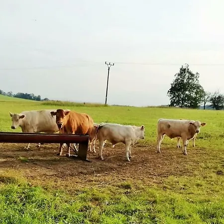 Apartmán Apartmány Říčky *
