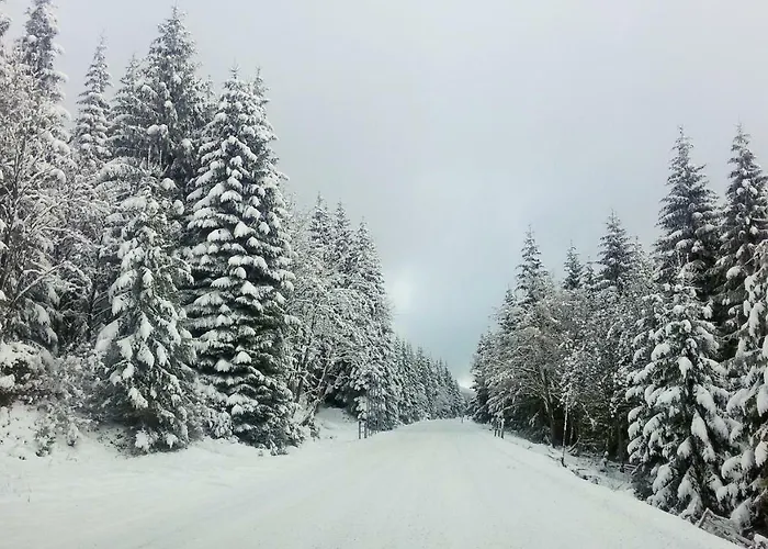 Lägenhet Apartmany Ricky