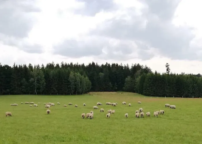 Apartmany Ricky Lägenhet