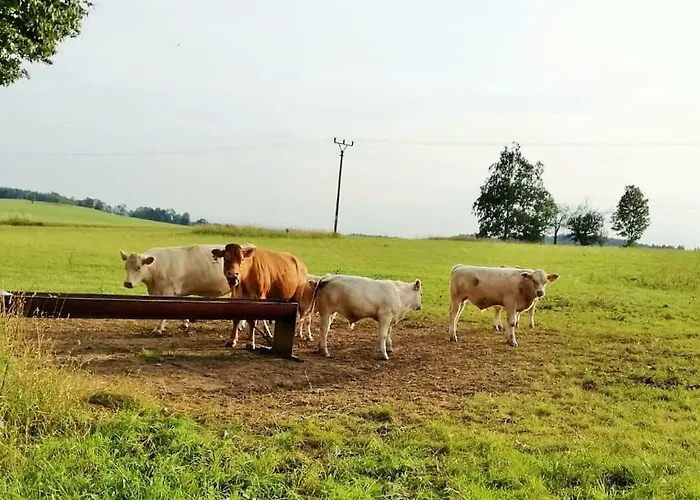 Lägenhet Apartmany Ricky *