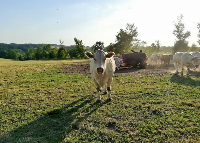 Lägenhet Apartmany Ricky